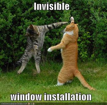 invisible window installation lolcats should be on caturday silly